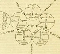 An illustration from The anatomy of sleep: or, the art of procuring sound and refreshing slumber at will / by Edward Binns. (1842)