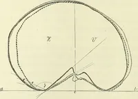 Picture 1 of 13 from Beitraege zur Craniologie / von Th. Landzert. (1867), leaf 18