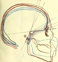 An illustration from Beitraege zur Craniologie / von Th. Landzert. (1867)