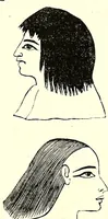 An illustration from Crania Aegyptiaca, or, Observations on Egyptian ethnography derived from anatomy, history and the monuments / by Samuel George Morton. (1844)