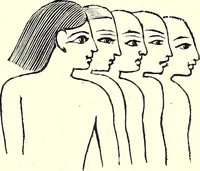 Picture 12 of 49 from Crania Aegyptiaca, or, Observations on Egyptian ethnography derived from anatomy, history and the monuments / by Samuel George Morton. (1844), leaf 43