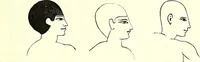 An illustration from Crania Aegyptiaca, or, Observations on Egyptian ethnography derived from anatomy, history and the monuments / by Samuel George Morton. (1844)