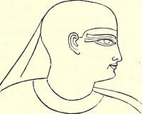 Picture 16 of 49 from Crania Aegyptiaca, or, Observations on Egyptian ethnography derived from anatomy, history and the monuments / by Samuel George Morton. (1844), leaf 49