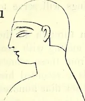 An illustration from Crania Aegyptiaca, or, Observations on Egyptian ethnography derived from anatomy, history and the monuments / by Samuel George Morton. (1844)