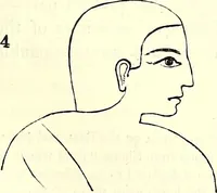 An illustration from Crania Aegyptiaca, or, Observations on Egyptian ethnography derived from anatomy, history and the monuments / by Samuel George Morton. (1844)