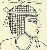 Picture 28 of 49 from Crania Aegyptiaca, or, Observations on Egyptian ethnography derived from anatomy, history and the monuments / by Samuel George Morton. (1844), leaf 58