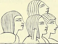 Picture 29 of 49 from Crania Aegyptiaca, or, Observations on Egyptian ethnography derived from anatomy, history and the monuments / by Samuel George Morton. (1844), leaf 58