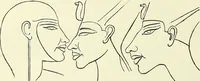 Picture 31 of 49 from Crania Aegyptiaca, or, Observations on Egyptian ethnography derived from anatomy, history and the monuments / by Samuel George Morton. (1844), leaf 62