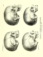 An illustration from Crania Aegyptiaca, or, Observations on Egyptian ethnography derived from anatomy, history and the monuments / by Samuel George Morton. (1844)