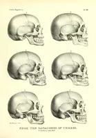 Picture 43 of 49 from Crania Aegyptiaca, or, Observations on Egyptian ethnography derived from anatomy, history and the monuments / by Samuel George Morton. (1844), leaf 91