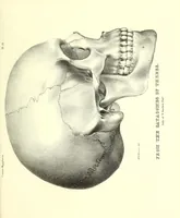 An illustration from Crania Aegyptiaca, or, Observations on Egyptian ethnography derived from anatomy, history and the monuments / by Samuel George Morton. (1844)