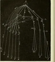 An illustration from Der sogenannte animalische Magnetismus oder Hypnotismus : unter Zugrundelegung eines für die Akademiesche Gesellschaft zu Freiburg i. B. gehaltenen populären Vortrages / von Christian Bäumler. (1881)
