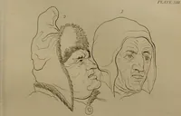 An illustration from Essays on physiognomy : designed to promote the knowledge and the love of mankind ... To which are added , one hundred physiognomonical rules, ... and memoirs of the life of the author / written by John Caspar Lavater. (1797)
