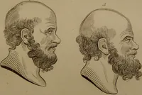 An illustration from Essays on physiognomy : designed to promote the knowledge and the love of mankind ... To which are added , one hundred physiognomonical rules, ... and memoirs of the life of the author / written by John Caspar Lavater. (1797)