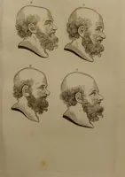 An illustration from Essays on physiognomy : designed to promote the knowledge and the love of mankind ... To which are added , one hundred physiognomonical rules, ... and memoirs of the life of the author / written by John Caspar Lavater. (1797)