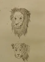 An illustration from Essays on physiognomy : designed to promote the knowledge and the love of mankind ... To which are added , one hundred physiognomonical rules, ... and memoirs of the life of the author / written by John Caspar Lavater. (1797)