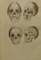 An illustration from Essays on physiognomy : designed to promote the knowledge and the love of mankind ... To which are added , one hundred physiognomonical rules, ... and memoirs of the life of the author / written by John Caspar Lavater. (1797)