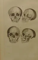 An illustration from Essays on physiognomy : designed to promote the knowledge and the love of mankind ... To which are added , one hundred physiognomonical rules, ... and memoirs of the life of the author / written by John Caspar Lavater. (1797)