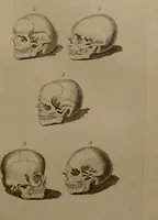 An illustration from Essays on physiognomy : designed to promote the knowledge and the love of mankind ... To which are added , one hundred physiognomonical rules, ... and memoirs of the life of the author / written by John Caspar Lavater. (1797)