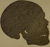 An illustration from Essays on physiognomy : designed to promote the knowledge and the love of mankind ... To which are added , one hundred physiognomonical rules, ... and memoirs of the life of the author / written by John Caspar Lavater. (1797)