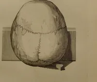 An illustration from Essays on physiognomy : designed to promote the knowledge and the love of mankind ... To which are added , one hundred physiognomonical rules, ... and memoirs of the life of the author / written by John Caspar Lavater. (1797)
