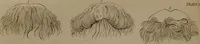 An illustration from Essays on physiognomy : designed to promote the knowledge and the love of mankind ... To which are added , one hundred physiognomonical rules, ... and memoirs of the life of the author / written by John Caspar Lavater. (1797)