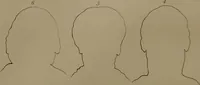 An illustration from Essays on physiognomy : designed to promote the knowledge and the love of mankind ... To which are added , one hundred physiognomonical rules, ... and memoirs of the life of the author / written by John Caspar Lavater. (1797)