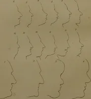 An illustration from Essays on physiognomy : designed to promote the knowledge and the love of mankind ... To which are added , one hundred physiognomonical rules, ... and memoirs of the life of the author / written by John Caspar Lavater. (1797)