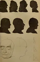 An illustration from Essays on physiognomy : designed to promote the knowledge and the love of mankind ... To which are added , one hundred physiognomonical rules, ... and memoirs of the life of the author / written by John Caspar Lavater. (1797)