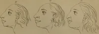 An illustration from Essays on physiognomy : designed to promote the knowledge and the love of mankind ... To which are added , one hundred physiognomonical rules, ... and memoirs of the life of the author / written by John Caspar Lavater. (1797)