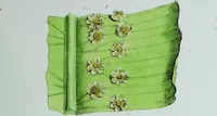 Picture 3 of 126 from Genera filicum, or, Illustrations of the ferns, and other allied genera / from the original coloured drawings of Francis Bauer ; with additions and descriptive letterpress, by Sir William Jackson Hooker. (1842), leaf 22
