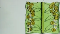 Picture 6 of 126 from Genera filicum, or, Illustrations of the ferns, and other allied genera / from the original coloured drawings of Francis Bauer ; with additions and descriptive letterpress, by Sir William Jackson Hooker. (1842), leaf 34