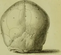 An illustration from Illustrations of phrenology : with engravings / by Sir G. S. Mackenzie. (1820)