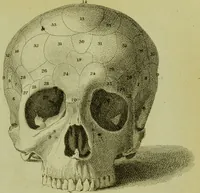 An illustration from Illustrations of phrenology : with engravings / by Sir G. S. Mackenzie. (1820)