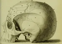 An illustration from Illustrations of phrenology : with engravings / by Sir G. S. Mackenzie. (1820)