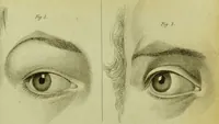 An illustration from Illustrations of phrenology : with engravings / by Sir G. S. Mackenzie. (1820)