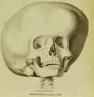 An illustration from Illustrations of phrenology : with engravings / by Sir G. S. Mackenzie. (1820)