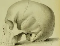 An illustration from Illustrations of phrenology : with engravings / by Sir G. S. Mackenzie. (1820)