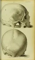 An illustration from Illustrations of phrenology : with engravings / by Sir G. S. Mackenzie. (1820)
