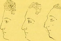 Picture 11 of 36 from La physionomie chez l'homme et chez les animaux, dans ses rapports avec l'expression des émotions et des sentiments / S. Schack. (1887), leaf 149