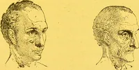 Picture 13 of 36 from La physionomie chez l'homme et chez les animaux, dans ses rapports avec l'expression des émotions et des sentiments / S. Schack. (1887), leaf 155
