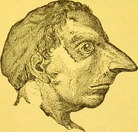Picture 33 of 36 from La physionomie chez l'homme et chez les animaux, dans ses rapports avec l'expression des émotions et des sentiments / S. Schack. (1887), leaf 365