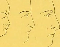 Picture 7 of 36 from La physionomie chez l'homme et chez les animaux, dans ses rapports avec l'expression des émotions et des sentiments / S. Schack. (1887), leaf 67