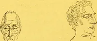 Picture 8 of 36 from La physionomie chez l'homme et chez les animaux, dans ses rapports avec l'expression des émotions et des sentiments / S. Schack. (1887), leaf 80