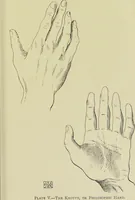 An illustration from A manual of cheirosophy : being a complete practical handbook of the twin sciences of cheirognomy and cheiromancy, by means whereof the past, the present, and the future may be read in the formations of the hands ; preceded by an introductory argument upon the science of cheirosophy and its claims to rank as a physical science / by Ed. Heron-Allen ; with full-page and other illustrations by Rosamund Brunel Horsley. (1885)