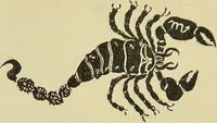 Picture 9 of 32 from A manual of cheirosophy : being a complete practical handbook of the twin sciences of cheirognomy and cheiromancy, by means whereof the past, the present, and the future may be read in the formations of the hands ; preceded by an introductory argument upon the science of cheirosophy and its claims to rank as a physical science / by Ed. Heron-Allen ; with full-page and other illustrations by Rosamund Brunel Horsley. (1885), leaf 194