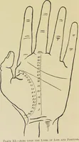 An illustration from A manual of cheirosophy : being a complete practical handbook of the twin sciences of cheirognomy and cheiromancy, by means whereof the past, the present, and the future may be read in the formations of the hands ; preceded by an introductory argument upon the science of cheirosophy and its claims to rank as a physical science / by Ed. Heron-Allen ; with full-page and other illustrations by Rosamund Brunel Horsley. (1885)