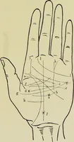Picture 20 of 32 from A manual of cheirosophy : being a complete practical handbook of the twin sciences of cheirognomy and cheiromancy, by means whereof the past, the present, and the future may be read in the formations of the hands ; preceded by an introductory argument upon the science of cheirosophy and its claims to rank as a physical science / by Ed. Heron-Allen ; with full-page and other illustrations by Rosamund Brunel Horsley. (1885), leaf 247