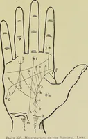 Picture 21 of 32 from A manual of cheirosophy : being a complete practical handbook of the twin sciences of cheirognomy and cheiromancy, by means whereof the past, the present, and the future may be read in the formations of the hands ; preceded by an introductory argument upon the science of cheirosophy and its claims to rank as a physical science / by Ed. Heron-Allen ; with full-page and other illustrations by Rosamund Brunel Horsley. (1885), leaf 251