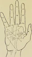 An illustration from A manual of cheirosophy : being a complete practical handbook of the twin sciences of cheirognomy and cheiromancy, by means whereof the past, the present, and the future may be read in the formations of the hands ; preceded by an introductory argument upon the science of cheirosophy and its claims to rank as a physical science / by Ed. Heron-Allen ; with full-page and other illustrations by Rosamund Brunel Horsley. (1885)